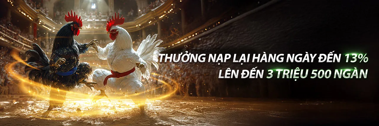 Hình ảnh chính của Blog 77ball Casino